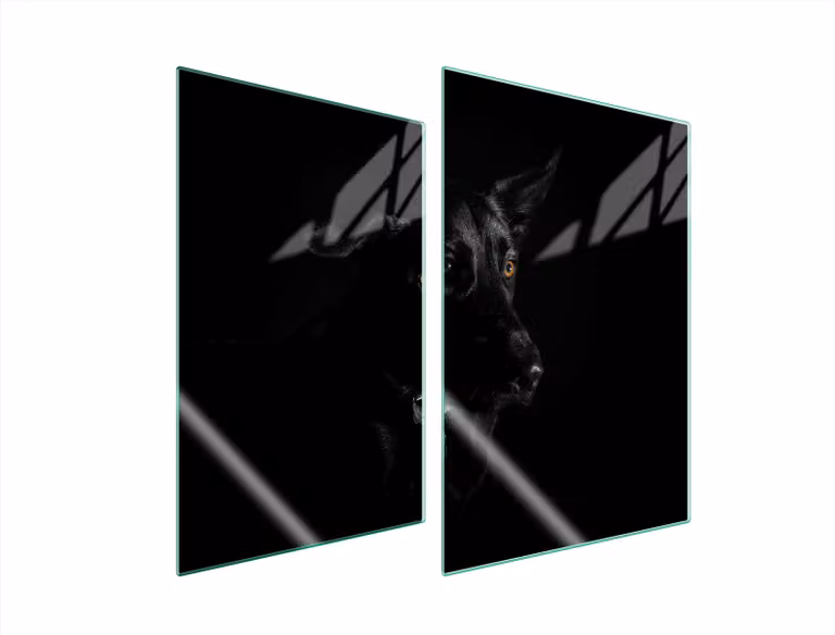 Piastre copri fornelli 2 pezzi 35x52 Vetroceramica copri piano cottura vetro tagliere cane nero