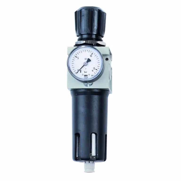 Filtro riduttore di pressione Schneider FDM 1/2 W 20 µm 0-12 bar