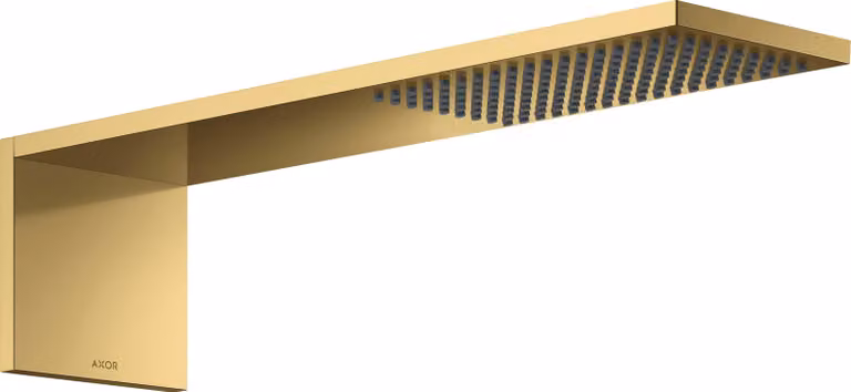 hansgrohe AXOR ShowerComposition module de douche de tête 110/220, 1jet, saillie 425mm, 12592990, 12592990