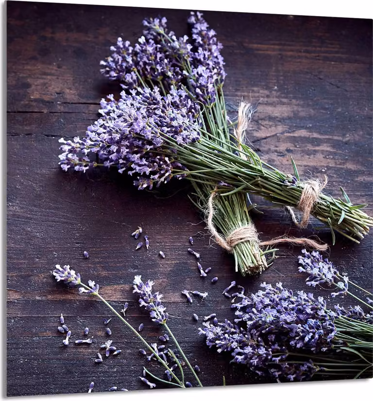 PIASTRELLE IN VETRO PER CUCINA 60x65 Lavanda