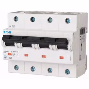 Interruttore Eaton LS, 125A, 4p, C-Char 211812