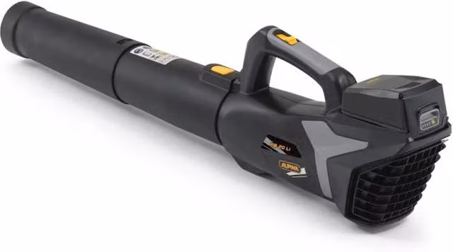 Soffiatore a batteria Bosch AB 20LI Kit nero per professionisti con batteria 18V