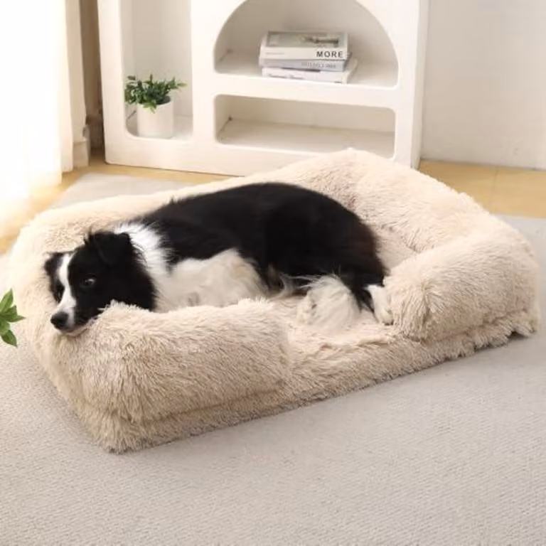 Cuccia ortopedica per cani, realizzata con schiuma viscoelastica, antiscivolo, lavabile, color beige, taglia M (60x48x15 cm)