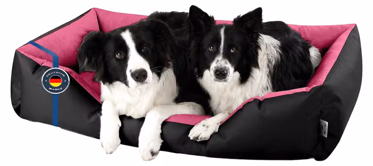 Letto per cani BedDog, modello LUPI. Cuscino per cani, cesta per cani con rivestimento lavabile