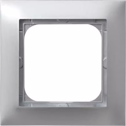 Impressione Argento Cornice singola