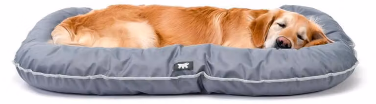 Letto per cani Oscar 100 x 70 cm poliestere/tessuto grigio