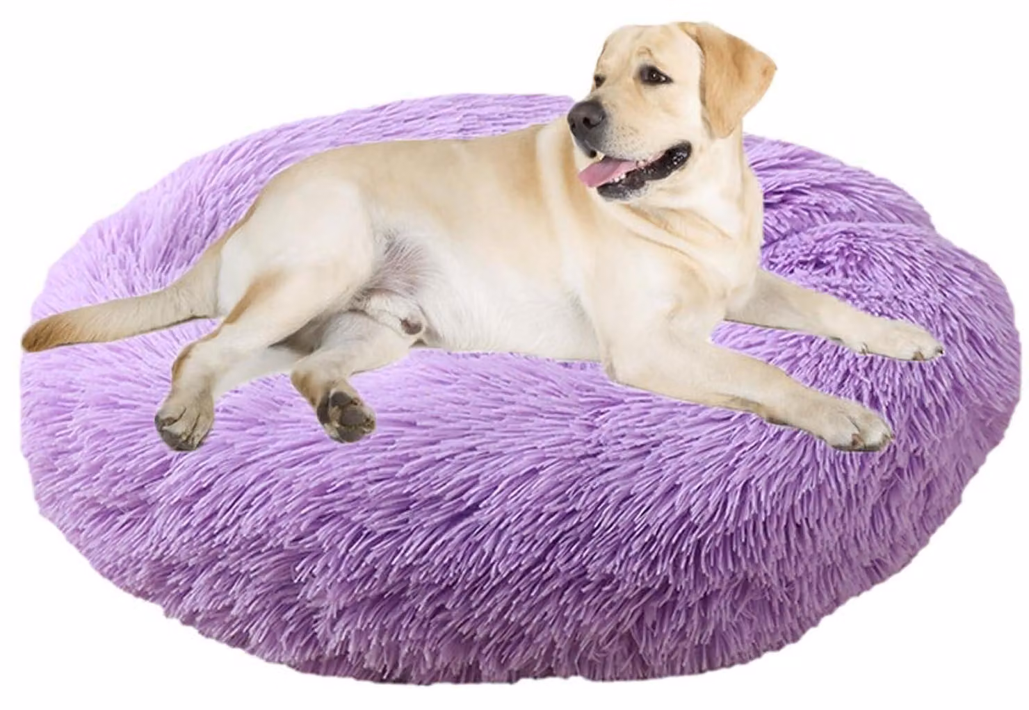 Cuccia per cani, cuccia per gatti, forma a ciambella, diametro 60 cm, colore viola, lavabile, morbida e pelosa