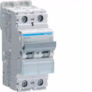 Interruttore automatico 2 poli 10kA B caratteristica 6A 2 moduli