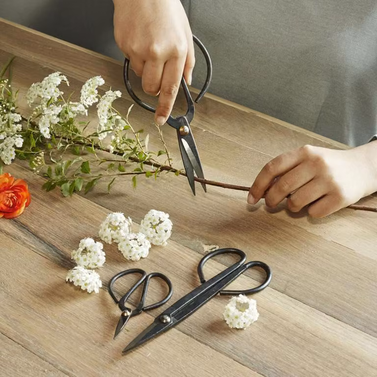 Forbici per fiori Piante