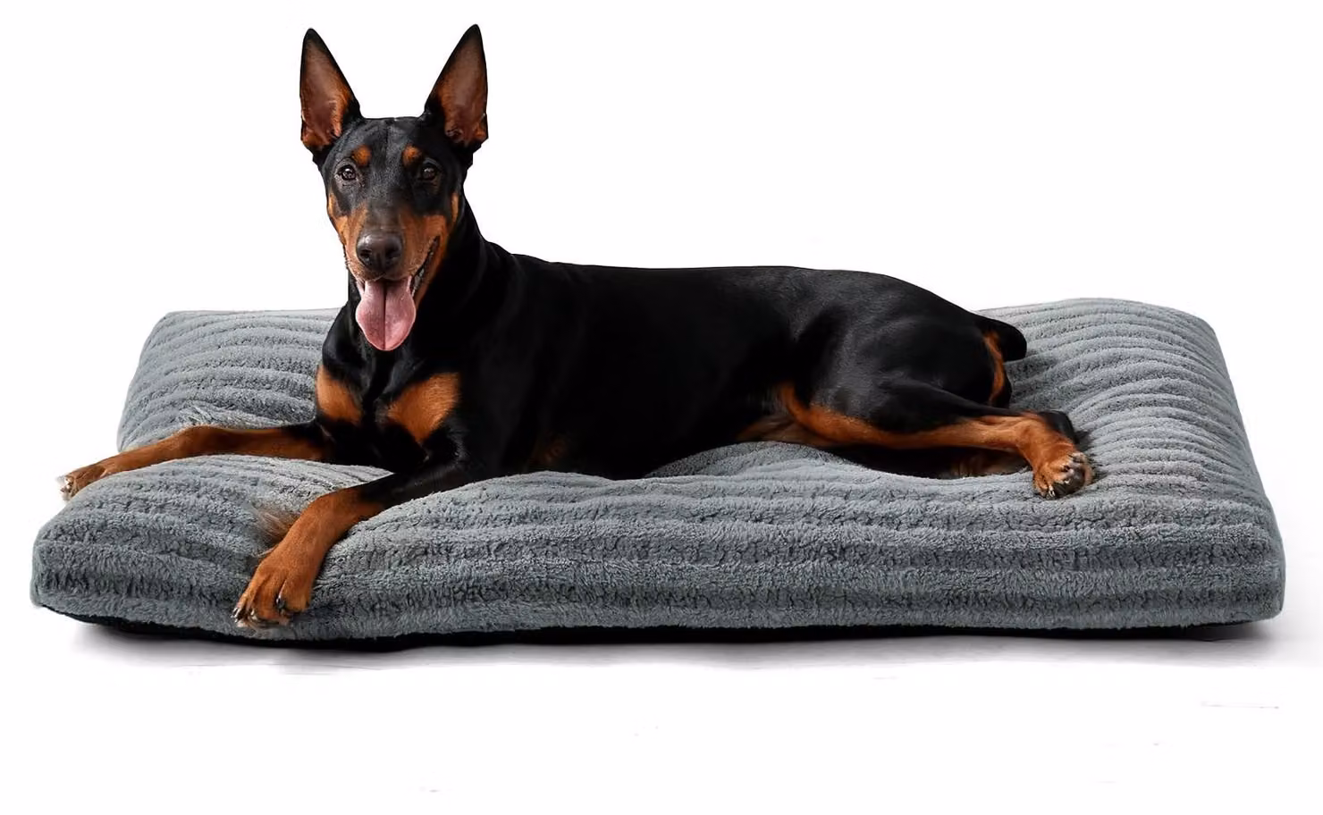Cuccia per cani di grossa taglia - Tappetino morbido lavabile, colore grigio, dimensioni 121x75x11 cm