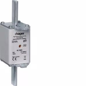 Cartuccia fusibile NH NH2C gG 500 V 224 A con segnalatore combinato e linguetta di presa in metallo