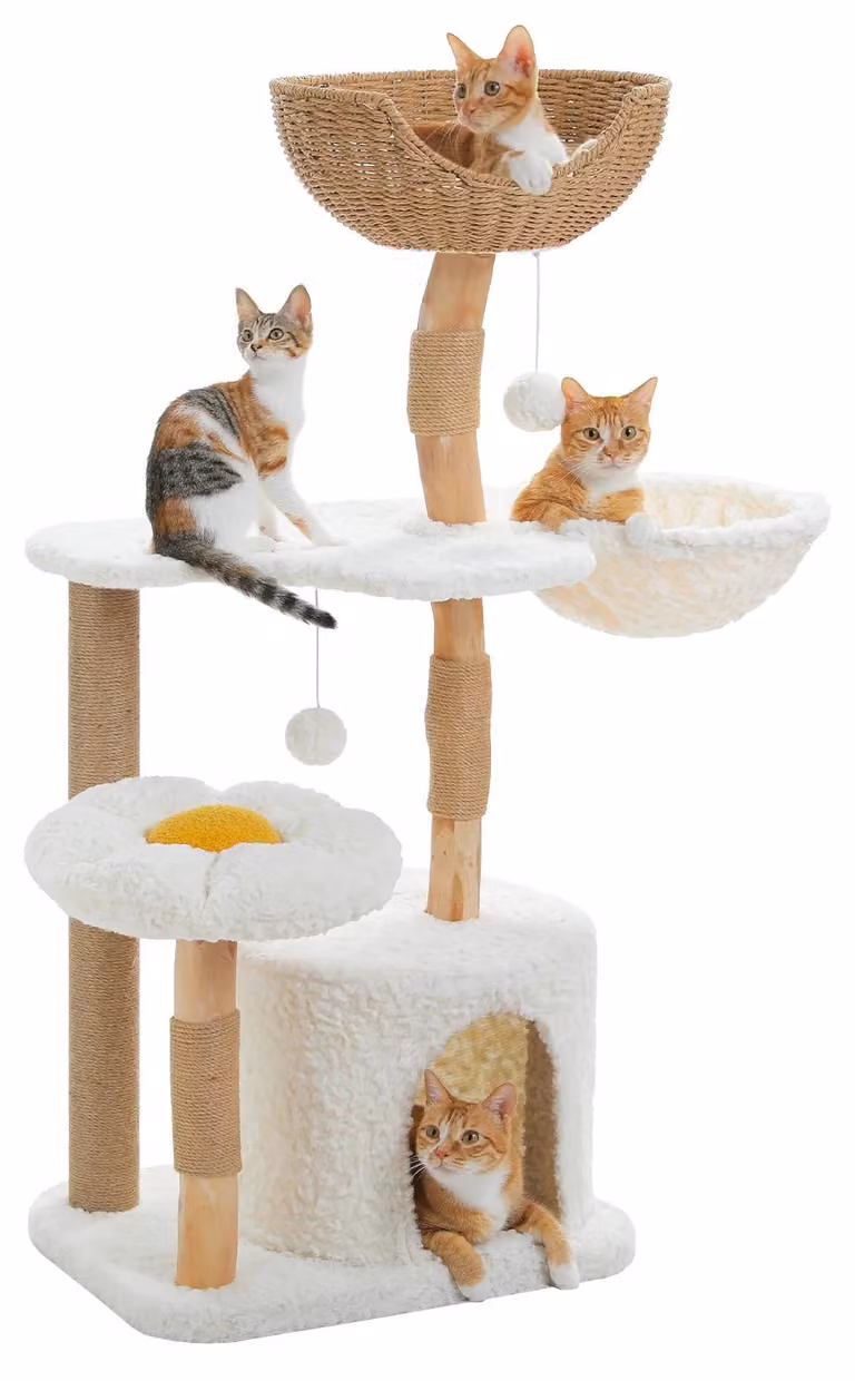 Katzenbaum, realizzato in legno massello, design moderno, modello AMT0330WE, taglia L