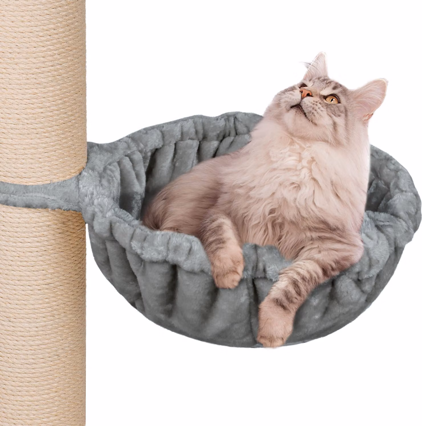 HAPPYPET Mangiatoia universale XXL per tiragraffi Ø 45 cm - mangiatoia per gatti grandi, Maine Coon, stabile fino a 20 kg di carico, mangiatoia per gatti, grigio