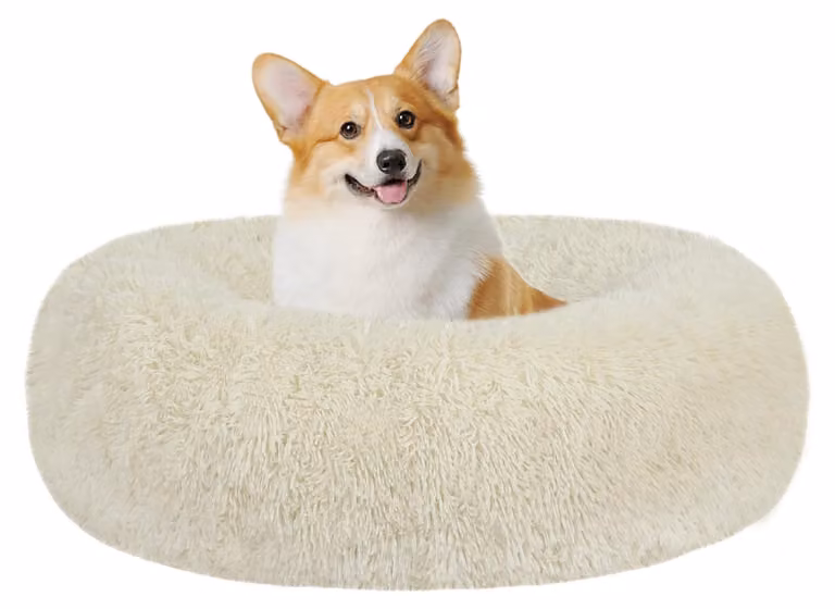 Solidchoice - Cuccia ortopedica per cani, a forma di ciambella, con rivestimento lavabile