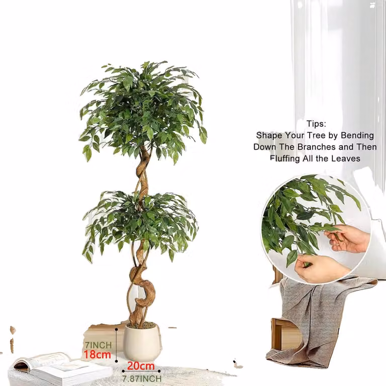 Albero artificiale Ficus, tronco curvo, vaso bianco, altezza 150 cm