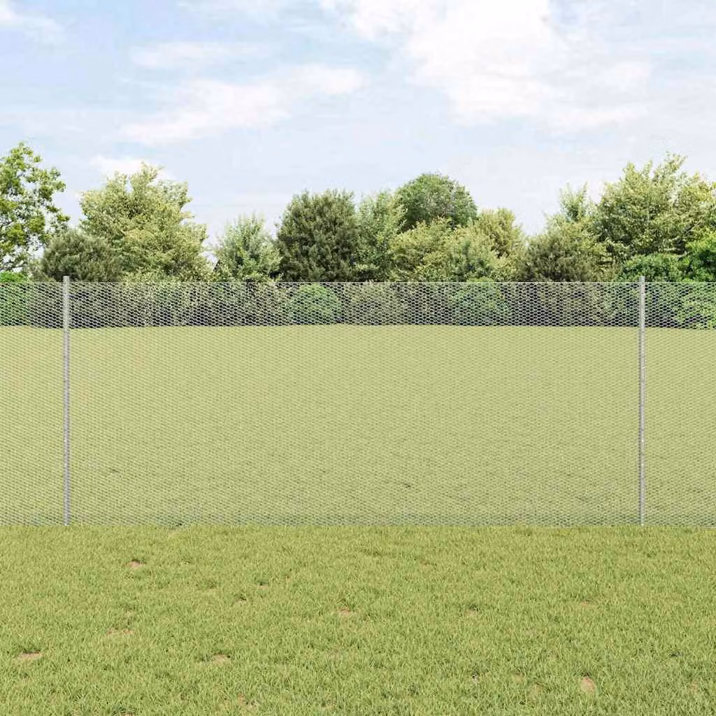 Maison Exclusive - Recinzione con Posto Argento 1 x 10 m Acciaio