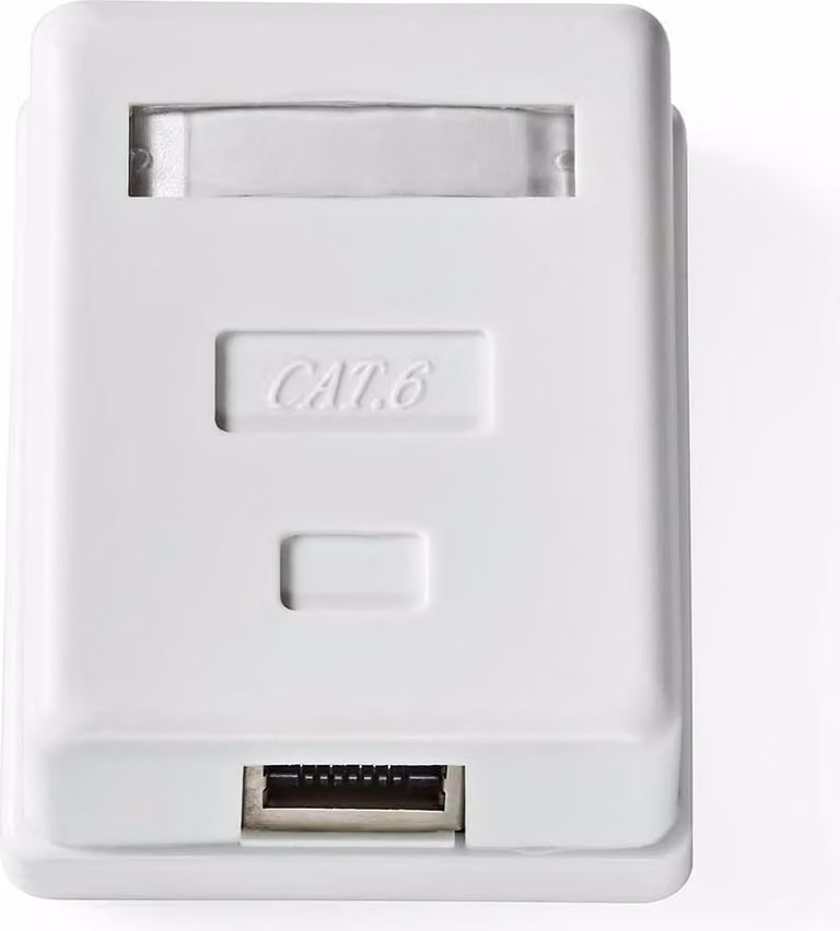 Scatola di rete a muro | Sul muro | 1-Port port(s) | STP CAT6 | Dritta | Femmina | Placcato oro | PVC | Bianco | Scatola