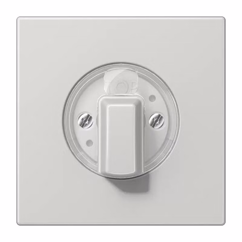 Jung LS1941LG Copertura grigio chiaro