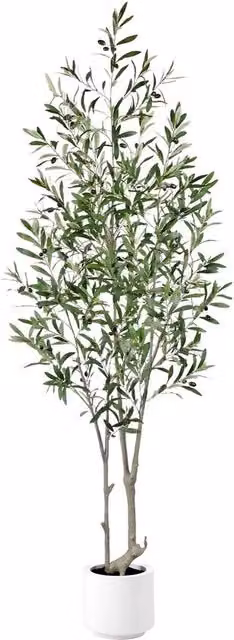 Olivo Finto di Alta Qualità 210cm con Vaso Bianco, Pianta Finta Grande Olivo con 1008 Foglie e 72 Frutti, Finto Albero per Ambiente come il Reale per Decorazione Camera, Ufficio