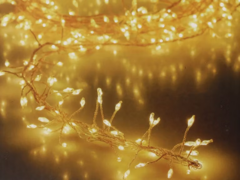 Catena luminosa a grappolo di LED in filo d'argento, bianco caldo, 480 LED, 230V~, IP44, 9,8 m