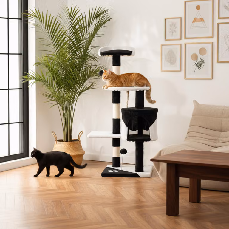 belviona tiragraffi per gatti, tiragraffi compatto da 112 cm con palline, sisal e grotta di coccole, nero/bianco