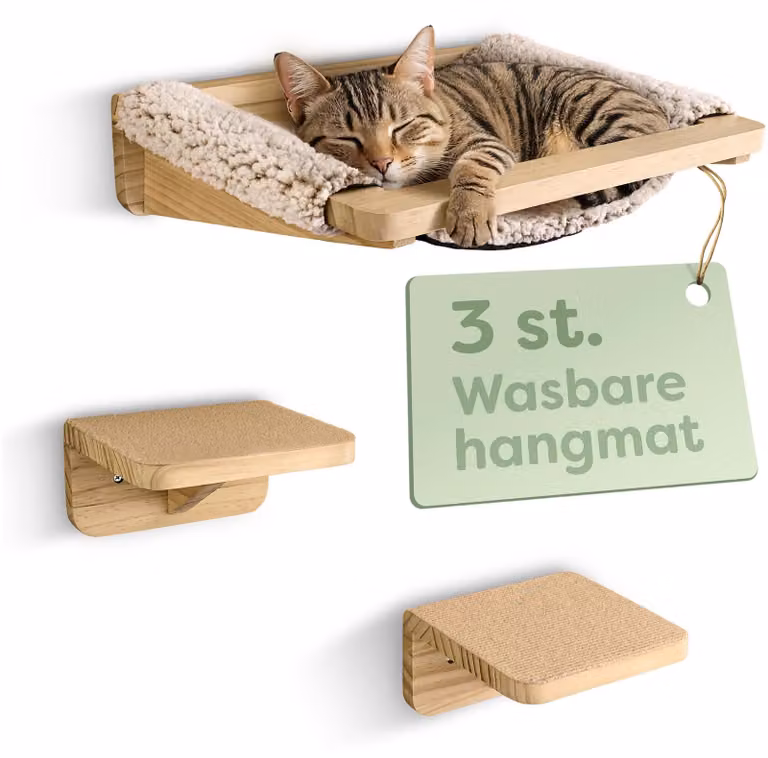 Set per pareti per gatti, completo di amaca e scalette