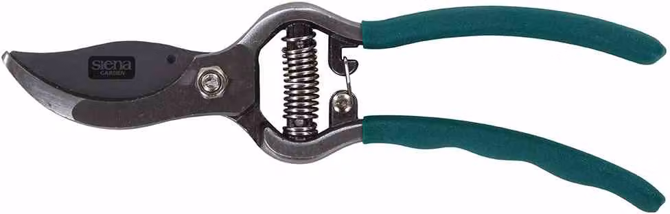 Cesoie bypass SIENA GARDEN CG2080