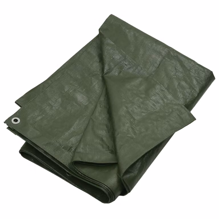 The Living Store telone 180 g/m² 6x8 m Verde HDPE