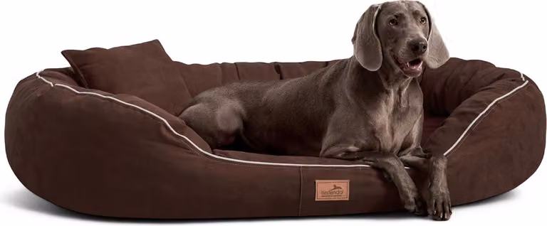 tierlando® Lettino ortopedico per cani MARLON VISCO PLUS velour - Dimensioni: 140x105cm | Colore: 01 Brown