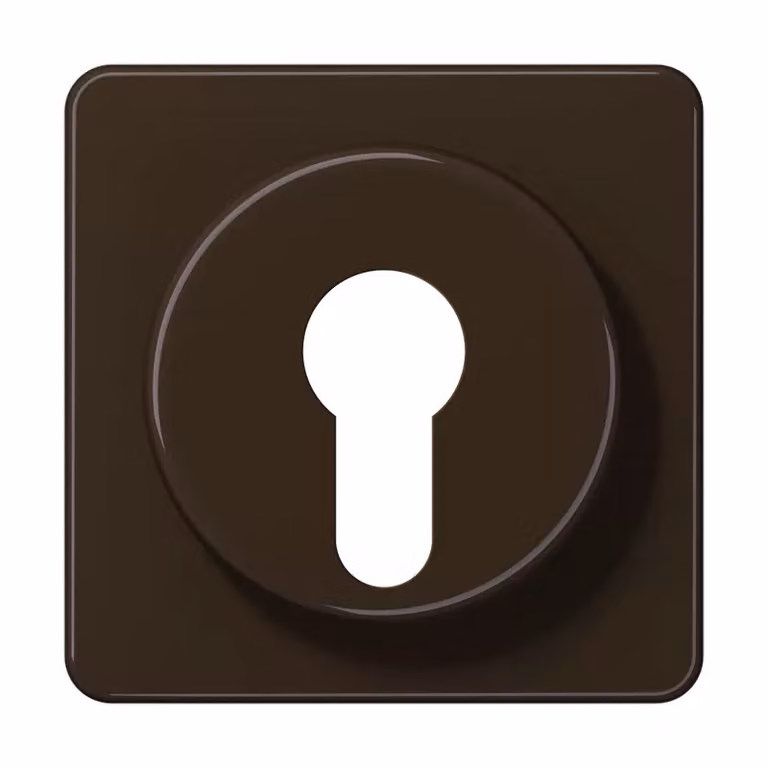 Jung CD528BR Copertura per interruttore a chiave