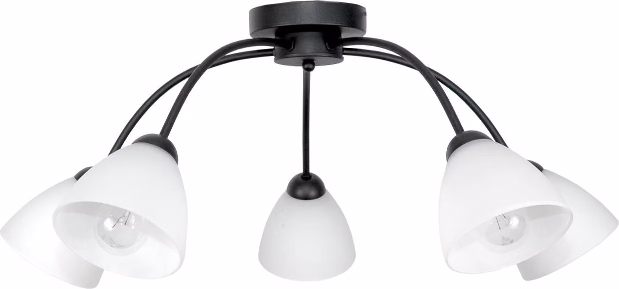 Lampada da soffitto, nera, lampada in vetro, bianca 15-310 JAGNA