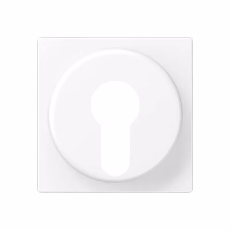 Copertura Jung per interruttore a chiave con protezione antismontaggio, termoplastica verniciata, serie A, bianco neve opaco A528PLWWM