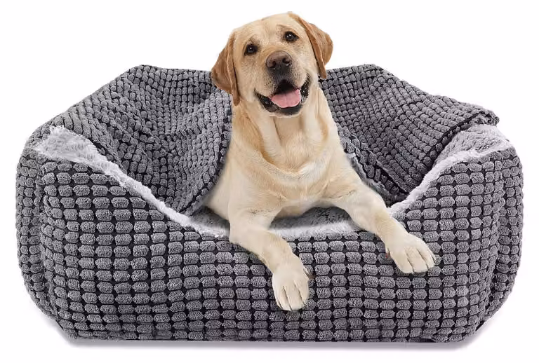 Cuccia per cani di grossa taglia - Rivestimento removibile - Morbida e lavabile