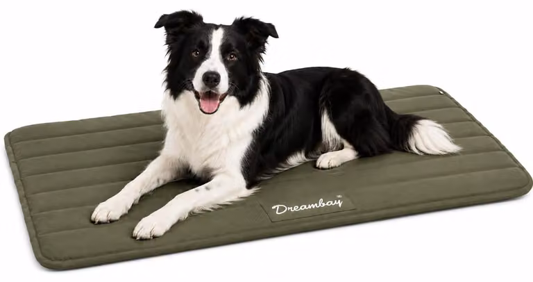 Cuccia per cani Flamingo - lettino ortopedico per gatti Dreambay® color verde oliva - Premium Memory