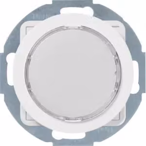 Berker 29532089 Luce di segnalazione a LED, illuminazione bianca polar white, lucida Berker R.1/R.3