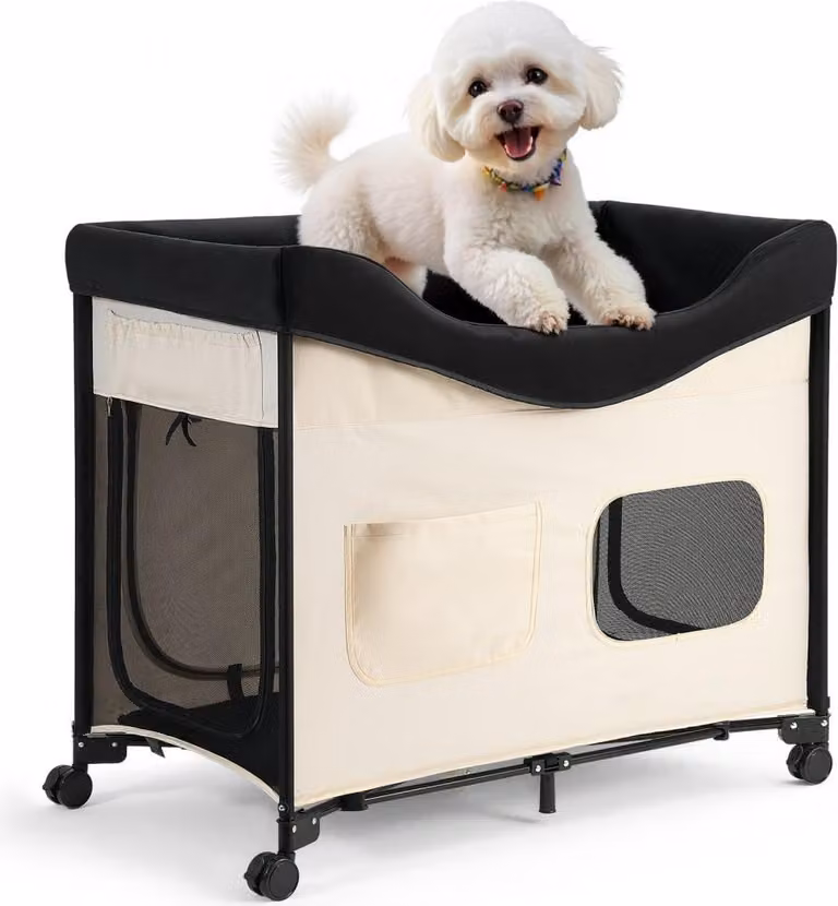 Letto rialzato per animali domestici (XL), letto pieghevole per cani con tessuto Oxford 600D e velluto olandese, lettino rialzato portatile con ruote, tasche laterali e borsa per il trasporto - Beige