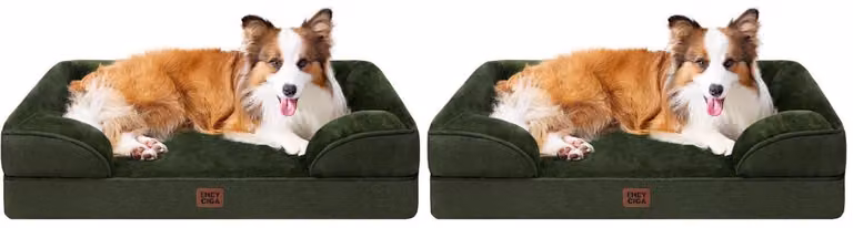 Letti ortopedici per cani, colore verde scuro, dimensioni 104x69 cm, set da 2