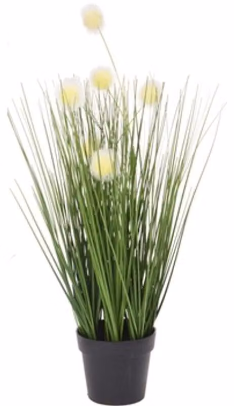 Erba decorativa in vaso 46 cm Caffè scuro