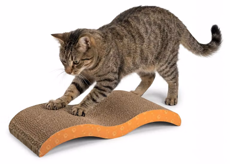 Albero per gatti AQPET in cartone ondulato, adatto a gatti adulti di tutte le dimensioni