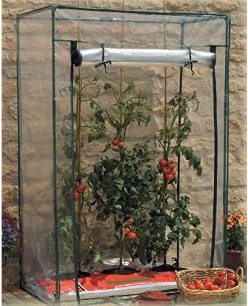 Copertura in PVC trasparente per serre di pomodori, ideale per l'uso in giardino