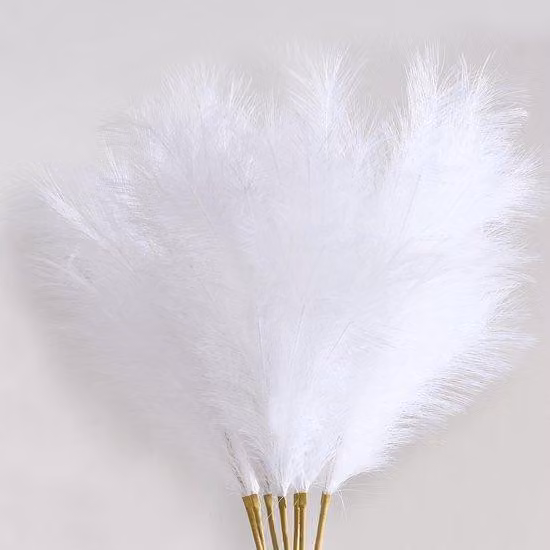 Erba della pampa bianca, set da 8 pezzi, 97 cm, per decorazione in vaso