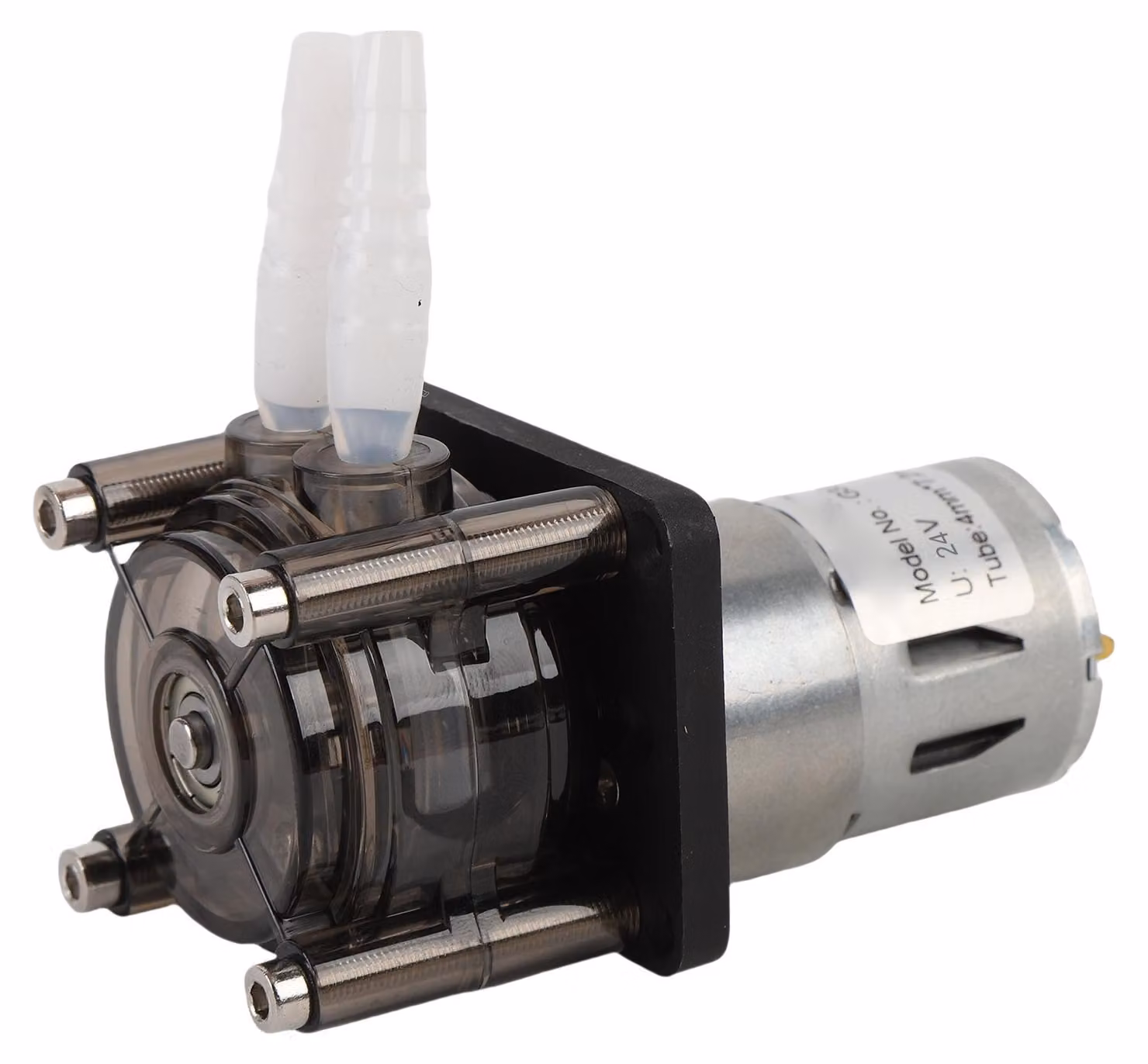 Pompa peristaltica, 300 ml/min, motore a spazzole CC, dosaggio di liquidi per applicazioni industriali in acquari, laboratori, 24 V, 0,425 A