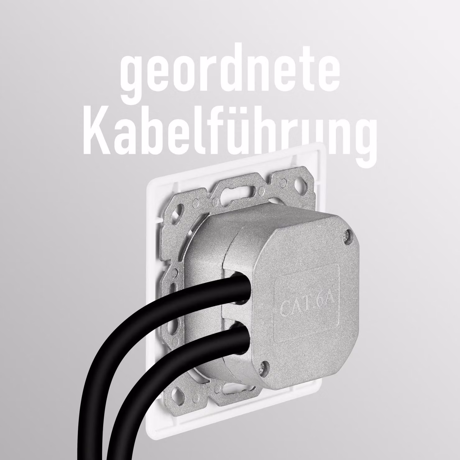 EFB EC020400002 EFB Netzwerkdose CAT6a Unterputz 2-fach RJ45,