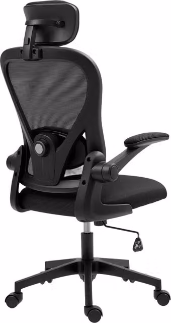 Sedia da Ufficio Ergonomica Xylo con Schienale in Rete Traspirante, Supporto Lombare Regolabile e Poggiatesta, Colore Nero