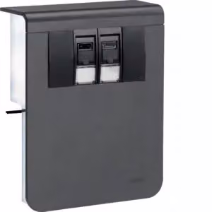 Supporto per dispositivi, connettore dati 2xCat.6A a SL 20x115 mm, nero grafite