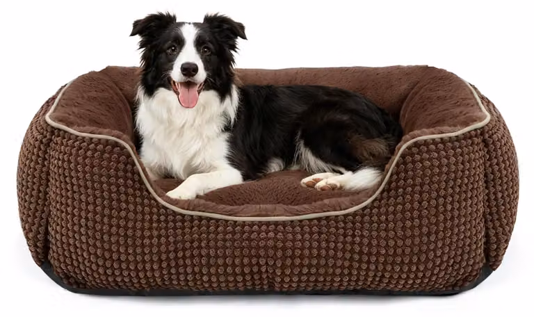 Cuccia per cani di taglia media, lavabile, dimensioni 76x61x23 cm, tappetino per cani da interno