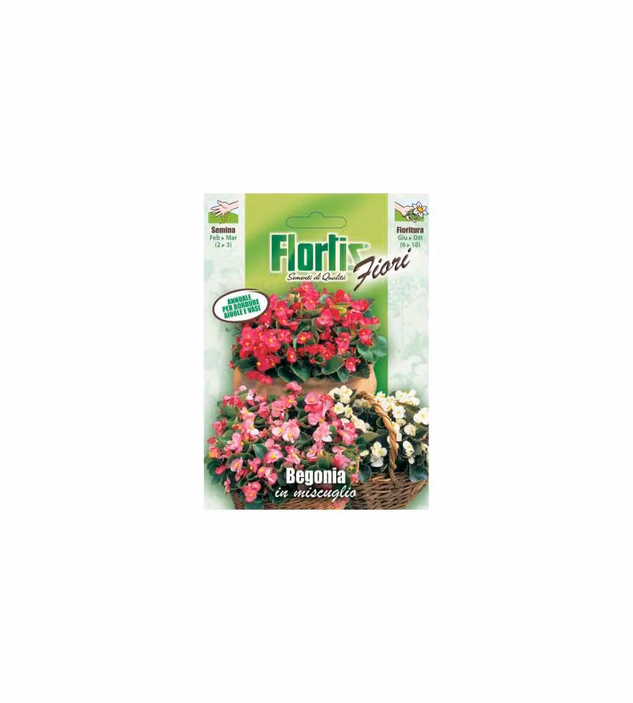 Mix di semi di Begonia in busta
