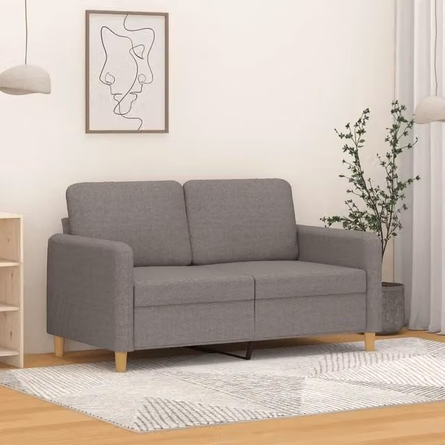 Divano a 2 Posti-Sofa 2 Posti Tortora 120 cm in Tessuto 823259