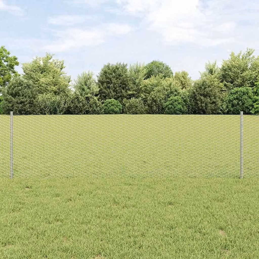 Recinzione in Rete Saldato 10 x 0,6 m (L x H)