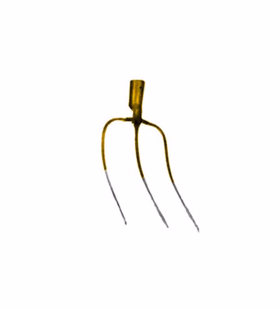 Forca 3 Denti Oro                           Styria